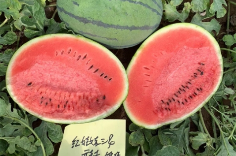 Ӯ76net·3