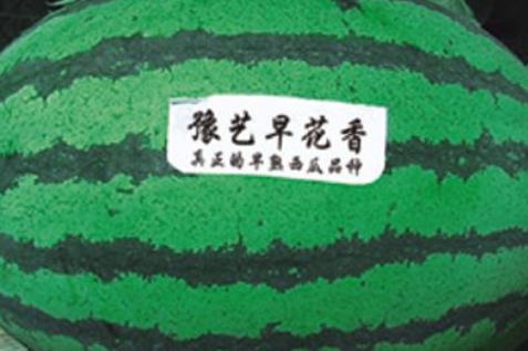 Ӯ76net·绨