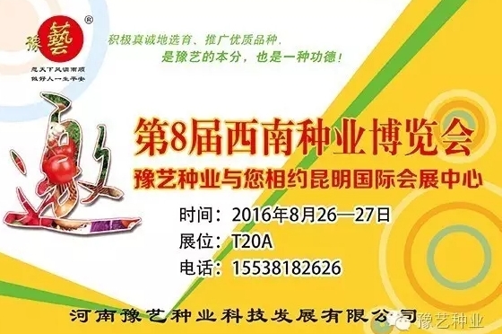 8ҵᣬӮ76net·Լļ紺