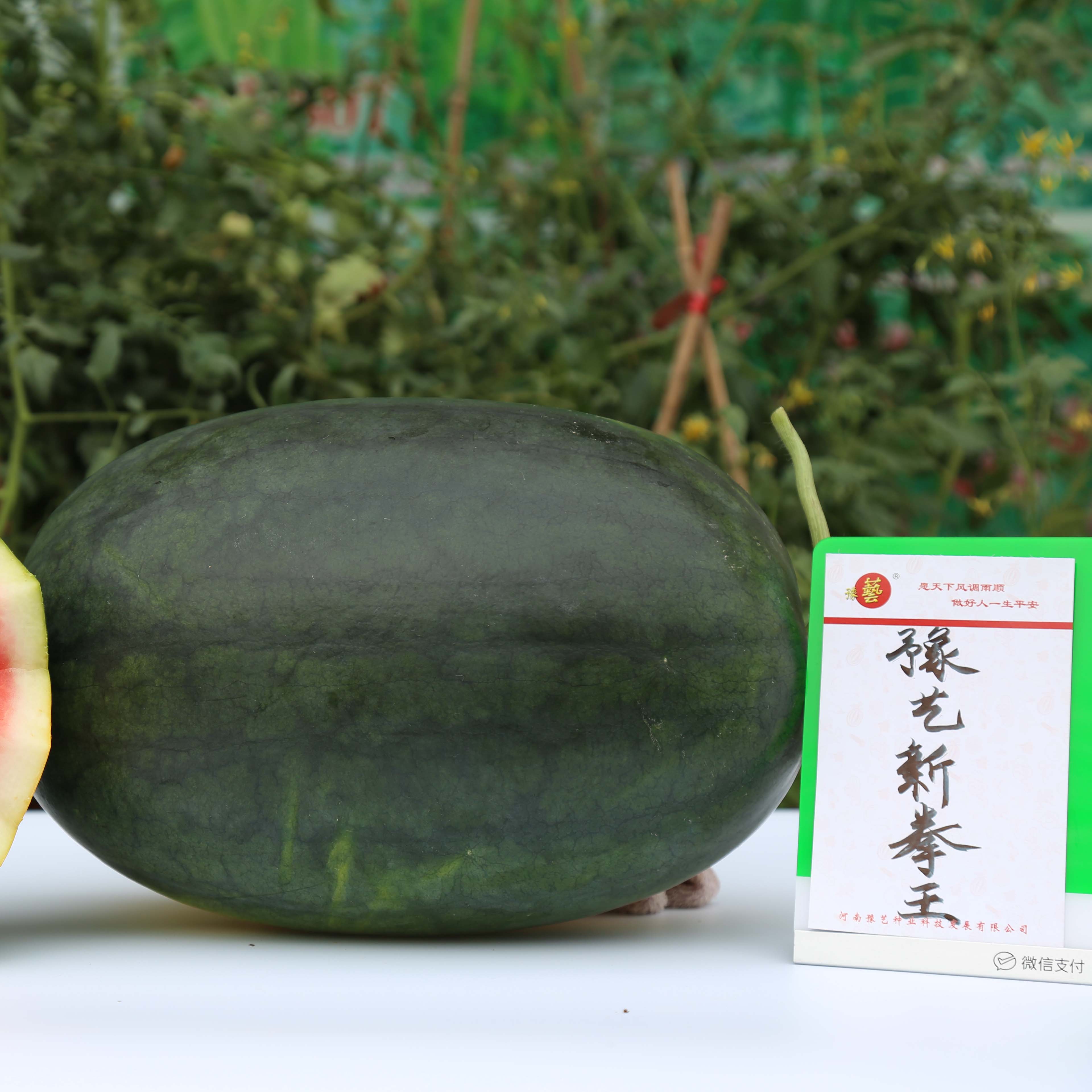 Ӯ76net·ȭ