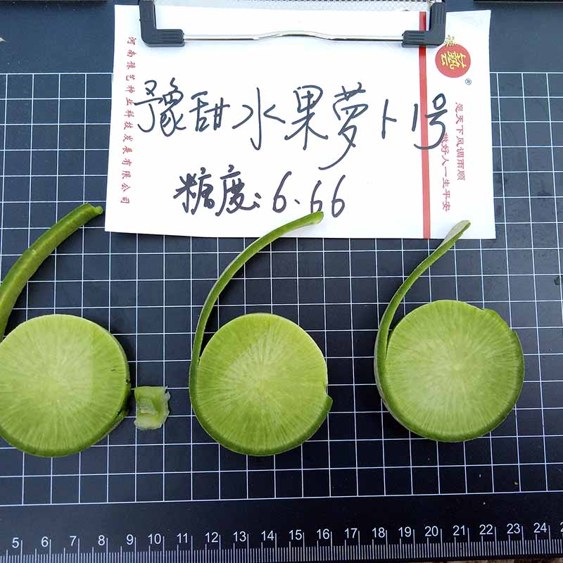Ӯ76net·ˮܲ