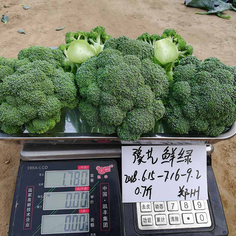 Ӯ76net·