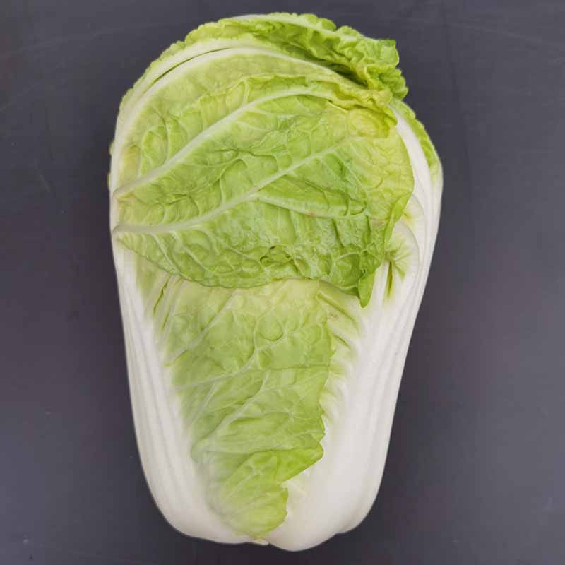 ѿʶ