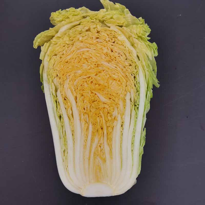 ѿʶ