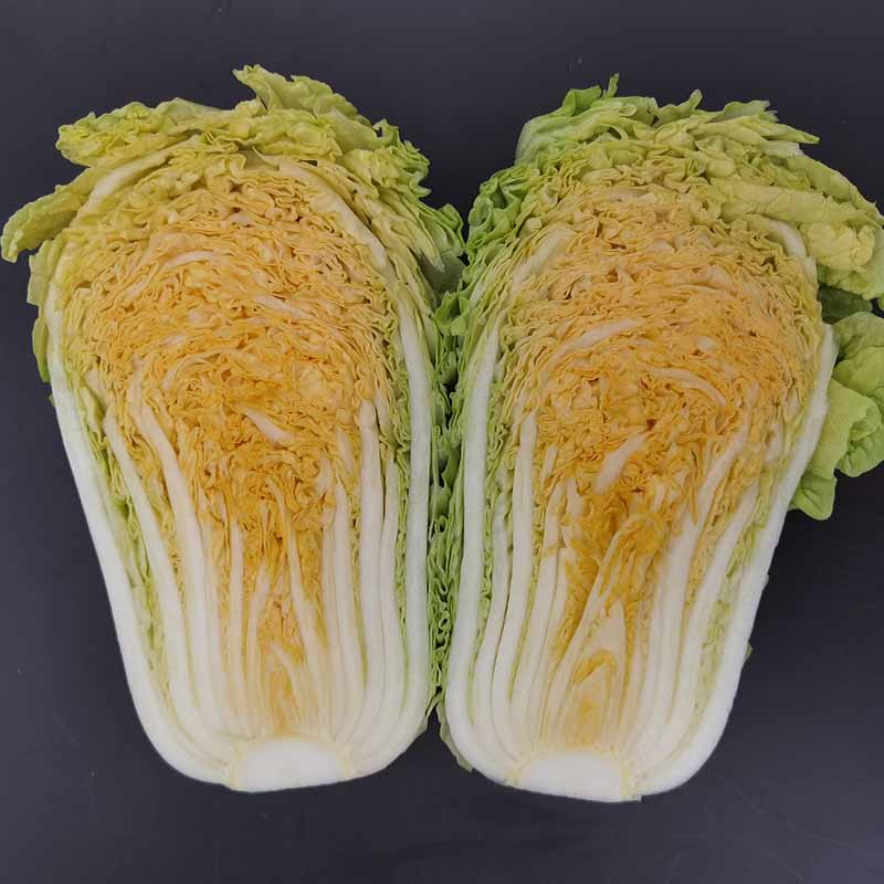 ѿʶ